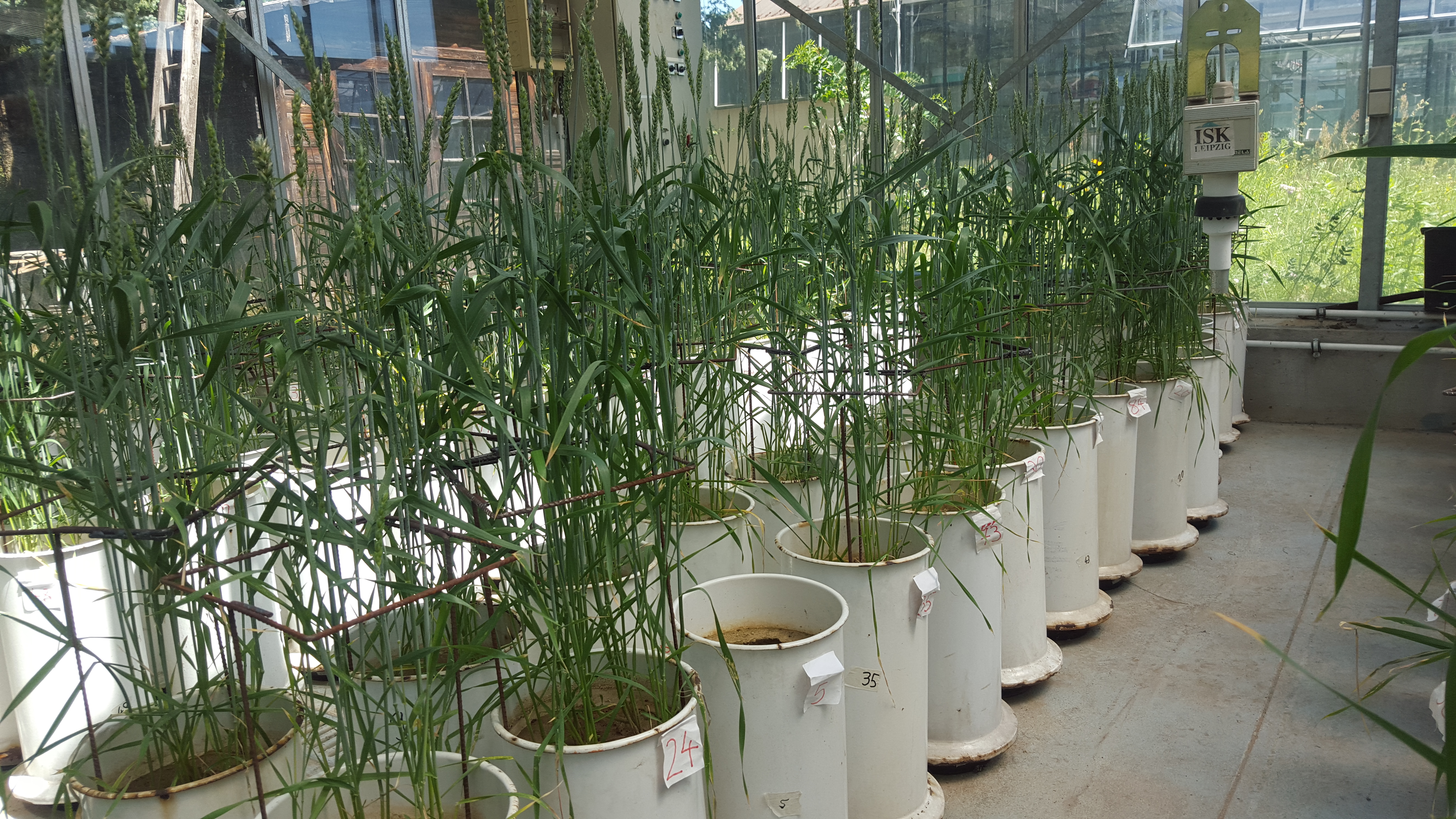 Novihum, sustainable soil solution Novihum, sustainable soil solution
