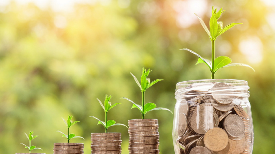 Weekly digest, EU news for businesses