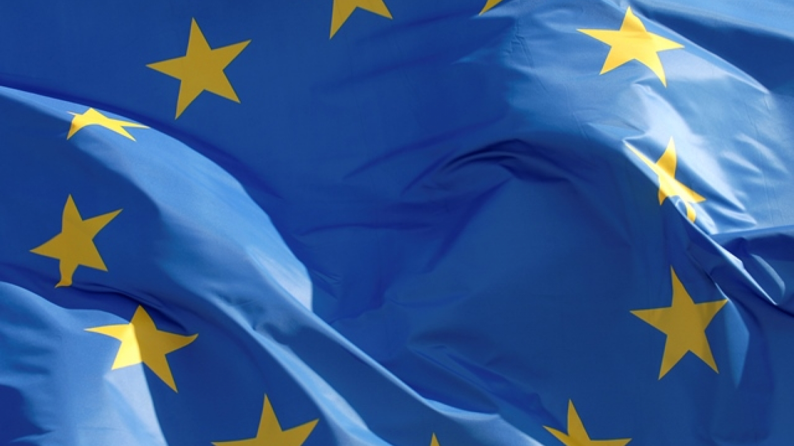 EU Flag