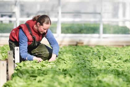 Small companies greening Europe