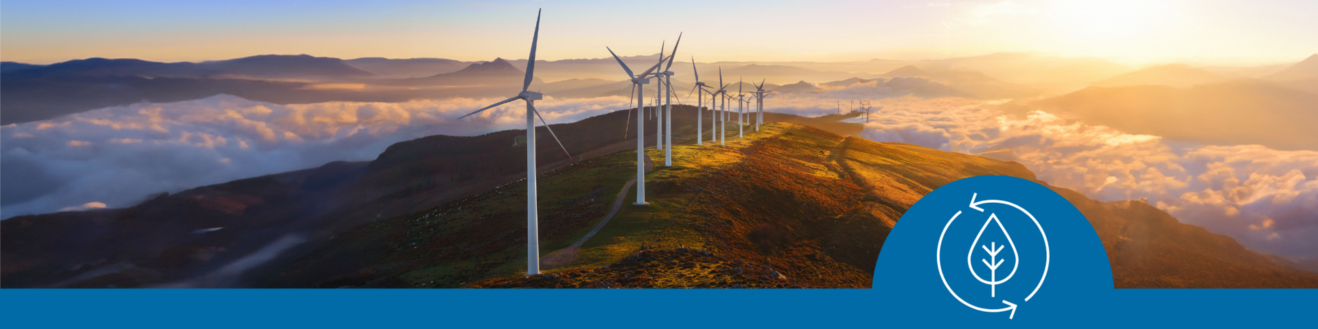Sustainability_Banner_2200x550.jpg